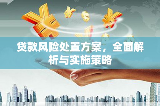 滦南贷款风险处置方案，全面解析与实施策略