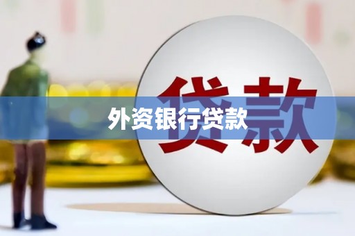 滦南外资银行贷款