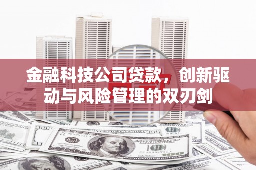 滦南金融科技公司贷款，创新驱动与风险管理的双刃剑