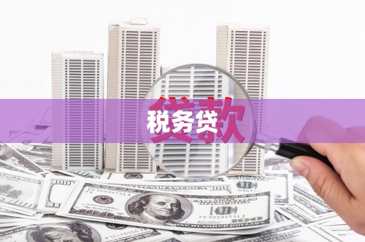 滦南税务贷